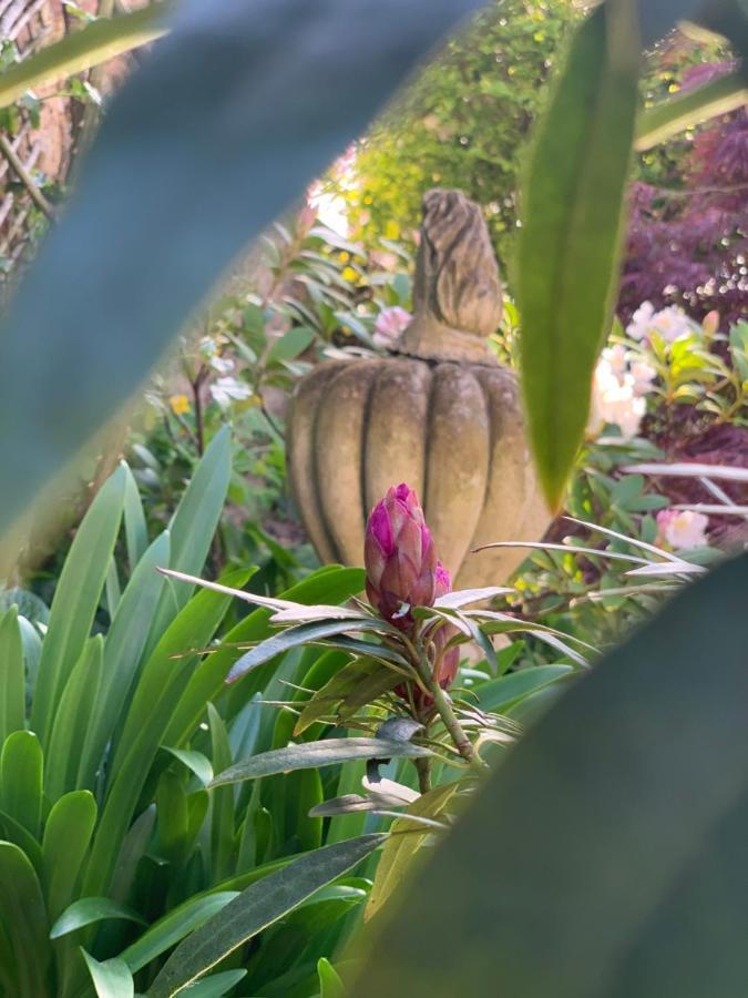 مبيت وإفطار Sainte-Suzanne  Cote Jardin المظهر الخارجي الصورة
