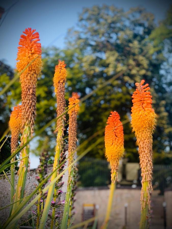 مبيت وإفطار Sainte-Suzanne  Cote Jardin المظهر الخارجي الصورة